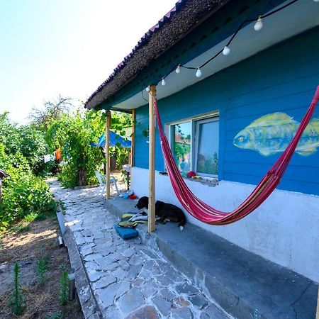 Danube Delta Hostel Homestay & Camping 술리나 외부 사진