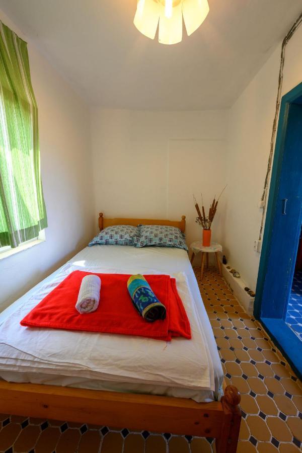 Danube Delta Hostel Homestay & Camping 술리나 외부 사진