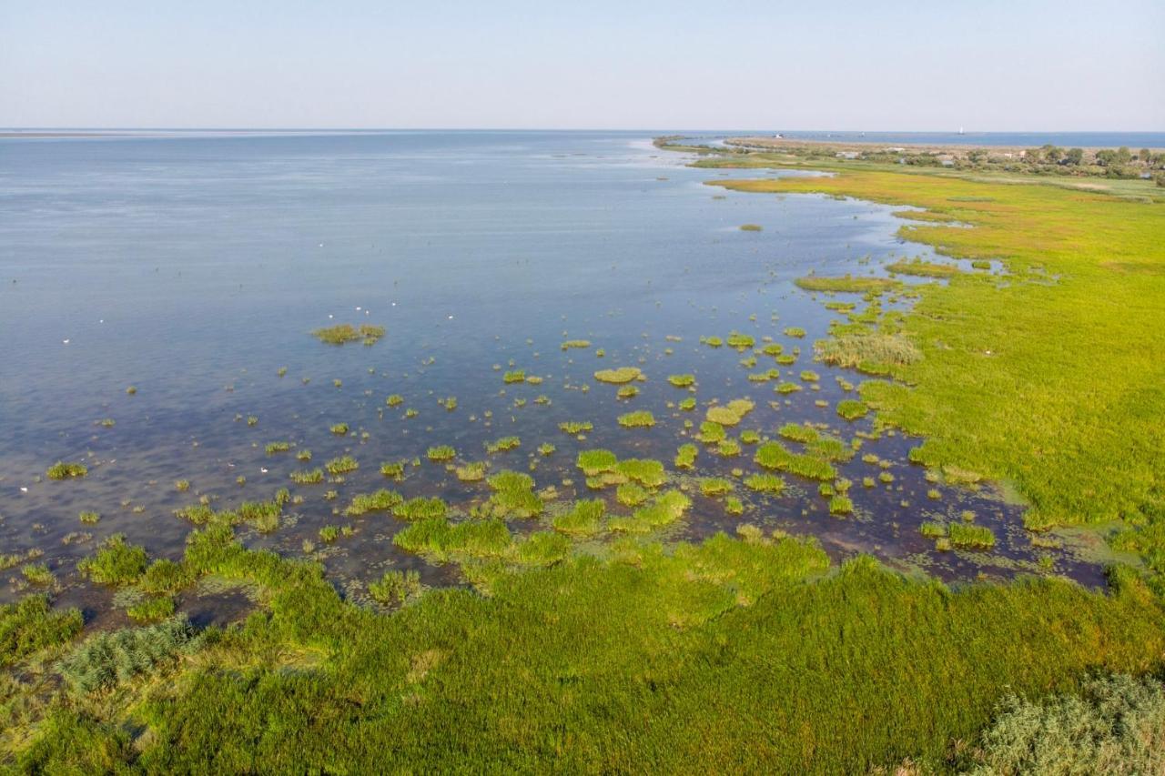 Danube Delta Hostel Homestay & Camping 술리나 외부 사진